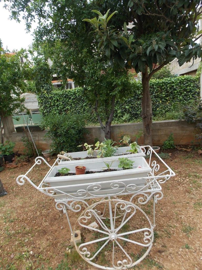 Apartment Ivana Vodice Dış mekan fotoğraf